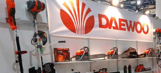 Обзор бензопил бренда Daewoo: характеристики, правила использования и техника безопасности