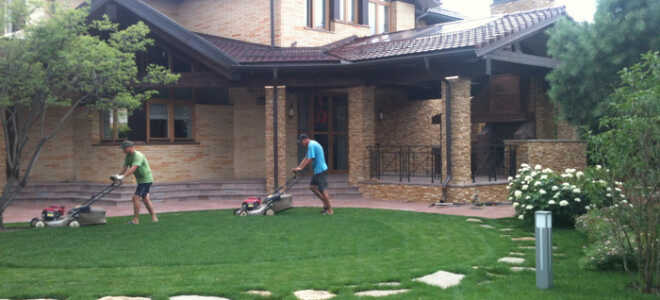 Как правильно ухаживать за газоном?