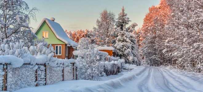 Как ухаживать за садом в теплую зиму?