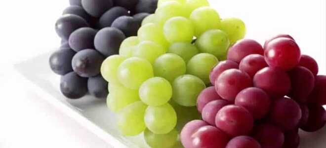 Заготовка винограда на зиму в морозилке