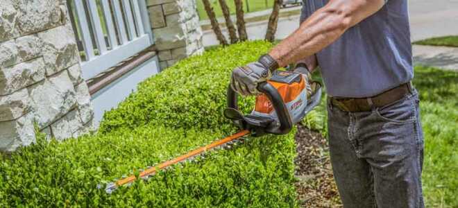 На что обратить внимание при покупке кусторезов?