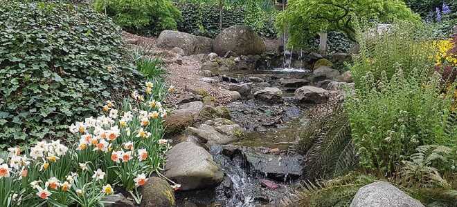 Каскад в саду – с чего начать