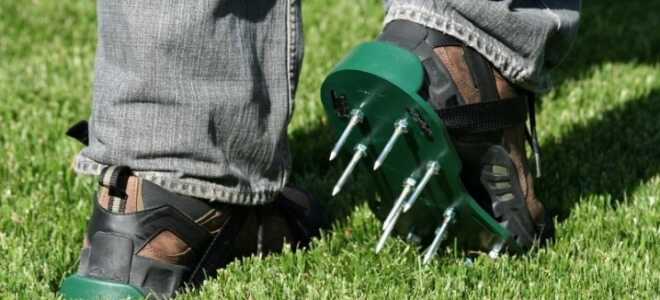 Весенняя аэрация газона