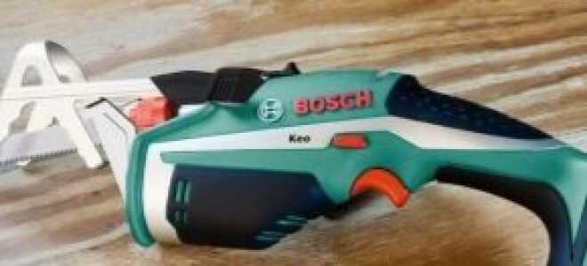 Сабельные пилы Bosch. Обзор модельного ряда, характеристики, отзывы