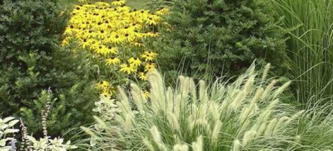 Как составить растения в саду