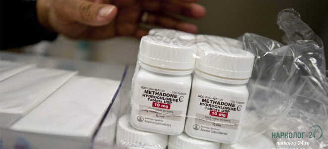 Ломка и лопание многолетников — все, что нужно знать