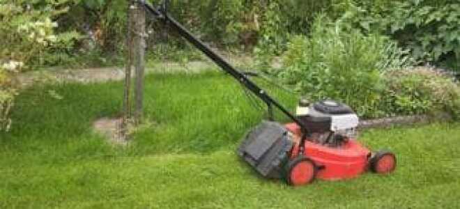 Бензопила Poulan 2150: описание, характеристики и правила использования