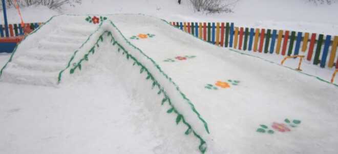 Вы сделали снеговика и что дальше? Какие садовые работы проводить в начале зимы?