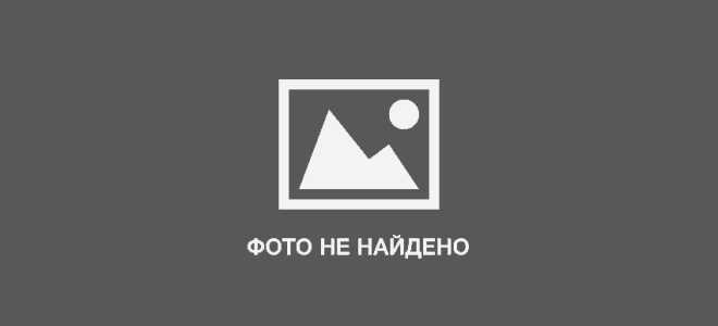 Колеус гибридный