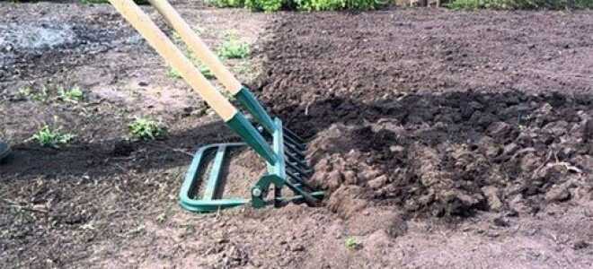 6 устройств, которые облегчают работу в саду