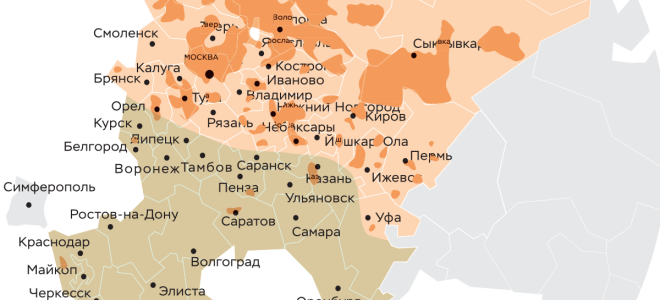 Борщ Сосновского — растение, способное убить