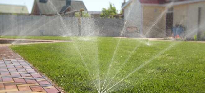 Полив огорода – как это сделать правильно?
