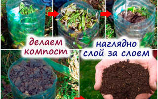 Компост – идеальное удобрение. Как настроить компостер?