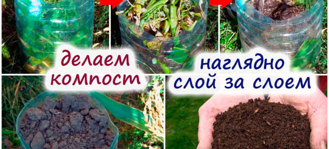 Компост – идеальное удобрение. Как настроить компостер?