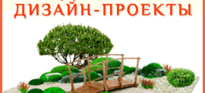 Организация зеленого строительства сада