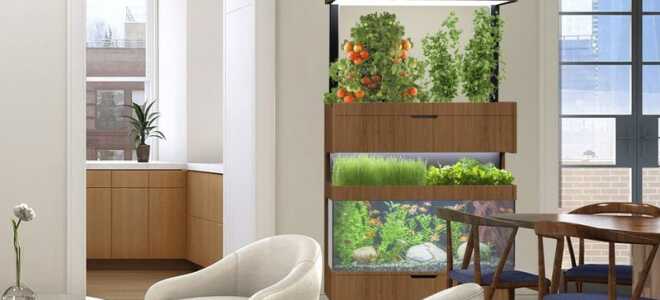 Летний уход за участком. Что вы должны помнить?