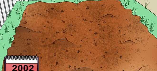 Почва для выращивания овощей – как ее подготовить?