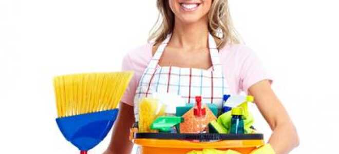 Садовая техника поможет содержать дом в порядке зимой