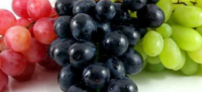 Выращивание Кинельского винограда