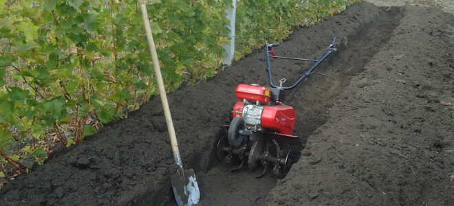 Способы полива винограда